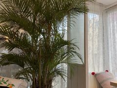 -秀儿家の小确幸花园西餐厅