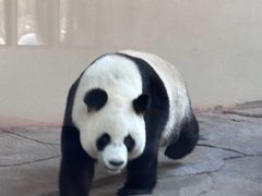 -宁波野生动物园