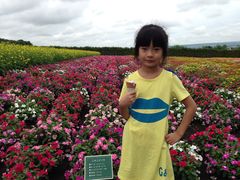 -富田农场