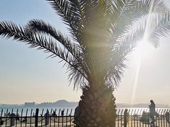 -黄金海岸环岛路