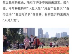 -院士公园