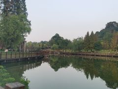 -常德桃花源景区