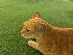 -光头佬室内钓虾场·烧烤·团建·亲子(中山八路店)