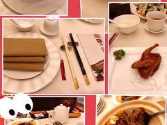 古法蒸老虎斑-利苑酒家(金宝店)