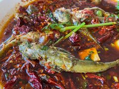 -胖大姐黄辣丁鱼庄(新津店)