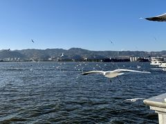 -海埂大坝