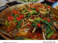 -盐与味葱葱鲫鱼•自贡菜江湖菜(春熙店)