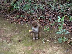 -千岛湖东南湖区