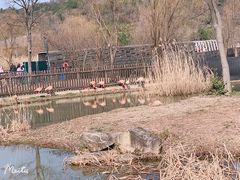-上方山森林动物世界
