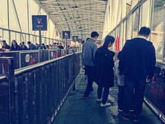 -武汉关码头(轮渡站)