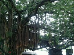 android_upload_pic-大嶝英雄三岛战地观光园