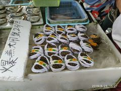 -南沙十九涌渔人码头-南门