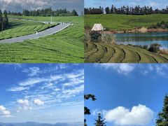 -晓琦农家菜馆·地道农家菜