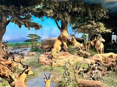 -国家自然博物馆