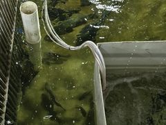 -区海鸡场饭店(石壁店)