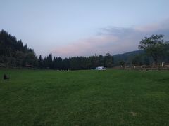 -武陵山森林公园