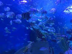 -多彩贵州城极地海洋世界