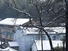 -四明山国家森林公园