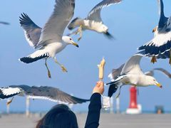 -东港音乐喷泉广场