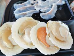 扇贝-丽江庭院之爱在路上(西单店)