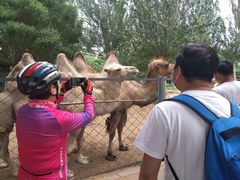 -长白岛森林公园