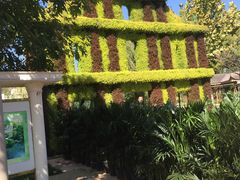 -武清南湖绿博园