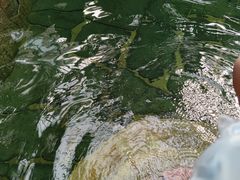-龙达温泉生态城