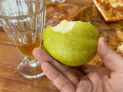 -宝山一号馕坑肉