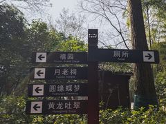 -杭州黄龙洞