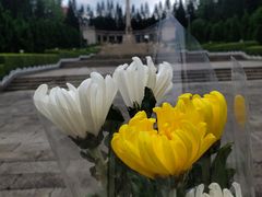 -十九路军淞沪抗日阵亡将士陵园