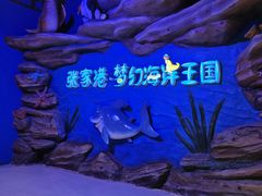-梦幻海洋王国(吾悦广场张家港店)