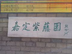 -嘉定紫藤园