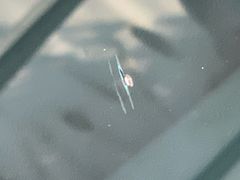 -福耀汽车玻璃(浦东店)