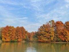 -上海海湾国家森林公园