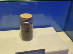 -陕西自然博物馆