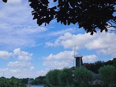 -上海鲜花港
