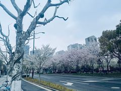 -北外滩滨江绿地