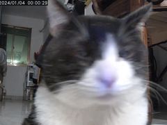 -Juicy Bakery(瑞景店)