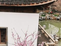 -芥子园