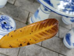 -景德镇民窑博物馆