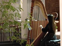 -京兆尹(雍和宫店)