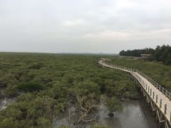 -北海金海湾红树林生态旅游区