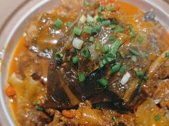 -洞庭家宴·头牌甲鱼(广渠门店)