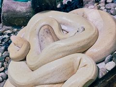 -石家庄市动物园