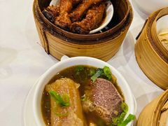 -食为先(Shark Fin)