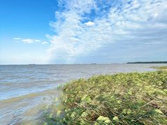 -上海吴淞炮台湾国家湿地公园