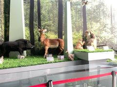 -房山世界地质公园博物馆