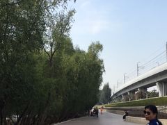 -宝安西湾红树林湿地公园