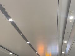 -麦当劳(北京大兴机场二层国内到达(安检外)店)