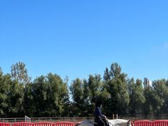 -北京群众马术培训基地